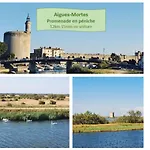 Lägenhet La Terrasse Du Club Wifi Clim Piscine - Centre - Rossiconciergerie - Linge Inclus *